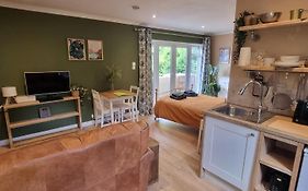 Fern Studio